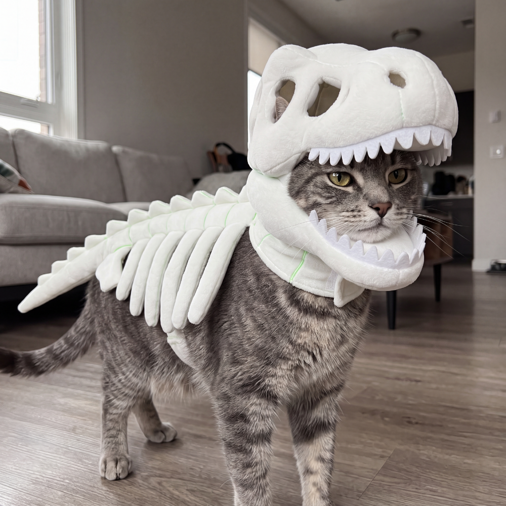 Dino Purr™