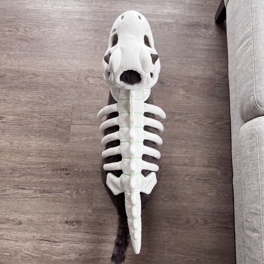 Dino Purr™