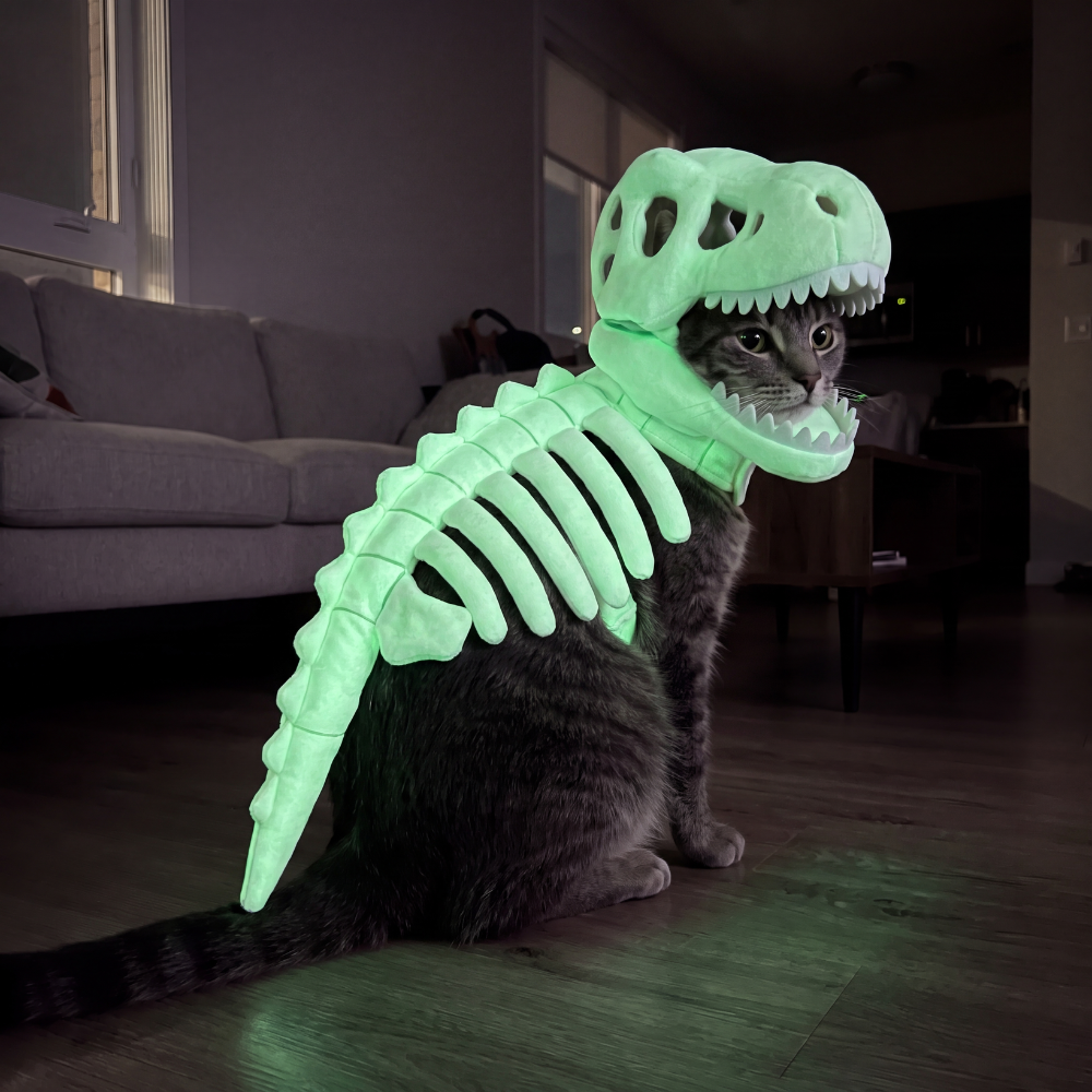 Dino Purr™